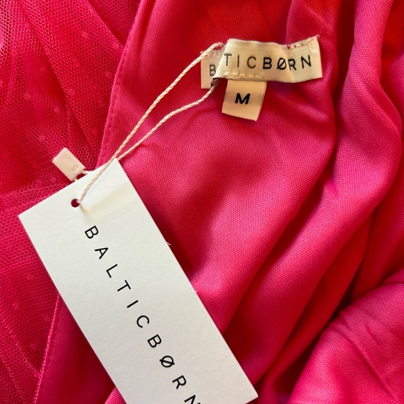 Baltic Born Tessa Tulle Tiered Dress - Picture 10 of 12